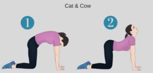 woman performing cat-cow stretch from hands and knees position