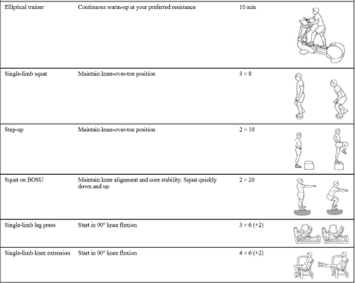 ACL Excercises